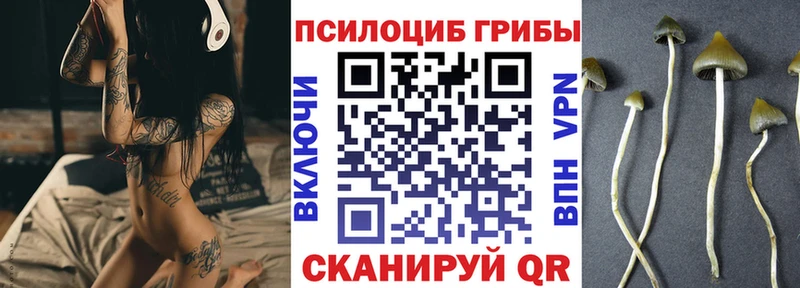 закладки Черкесск Псилоцибиновые грибы прущие грибы