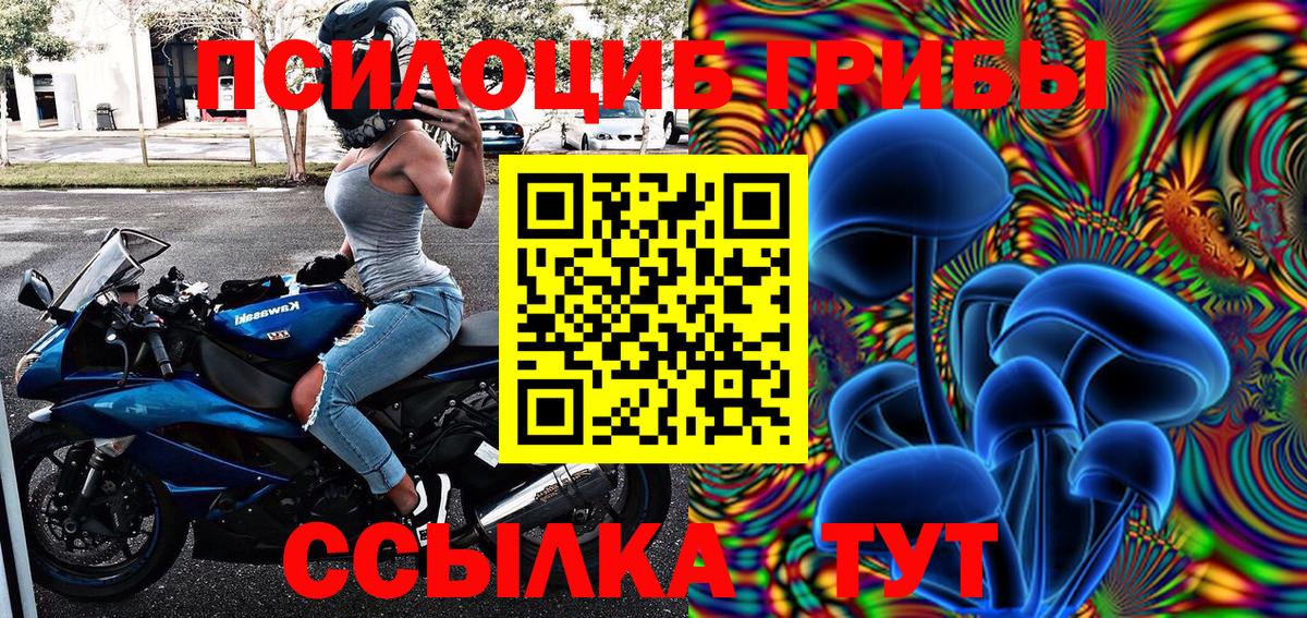 Псилоцибиновые грибы MAGIC MUSHROOMS  Псилоцибиновые грибы Psilocybine cubensis  купить   Вход с VPN  Черкесск 